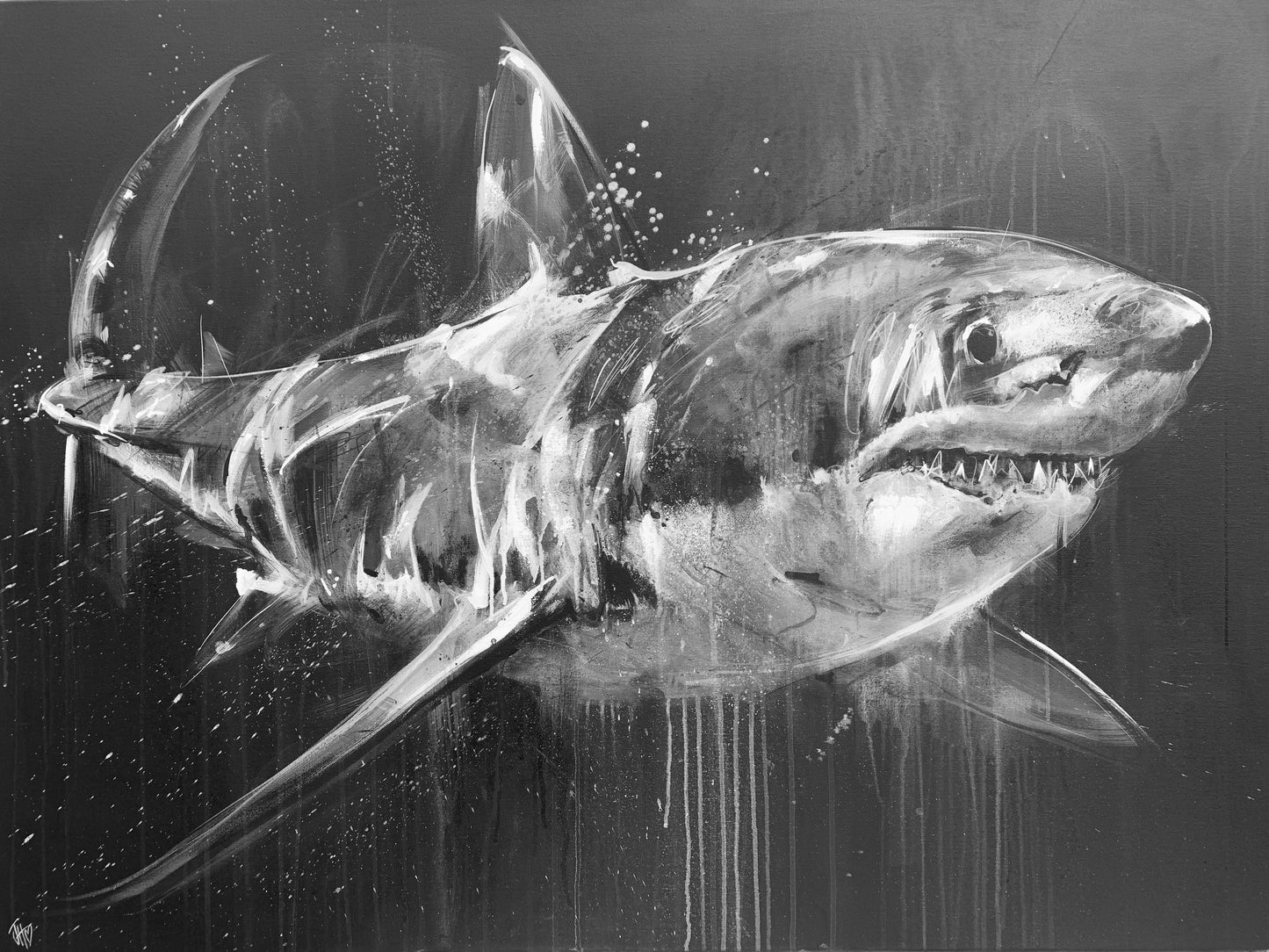 Great White I