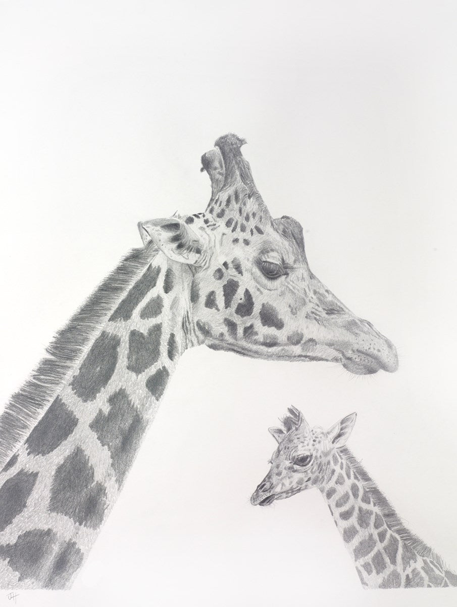 GIRAFFE DRAWING