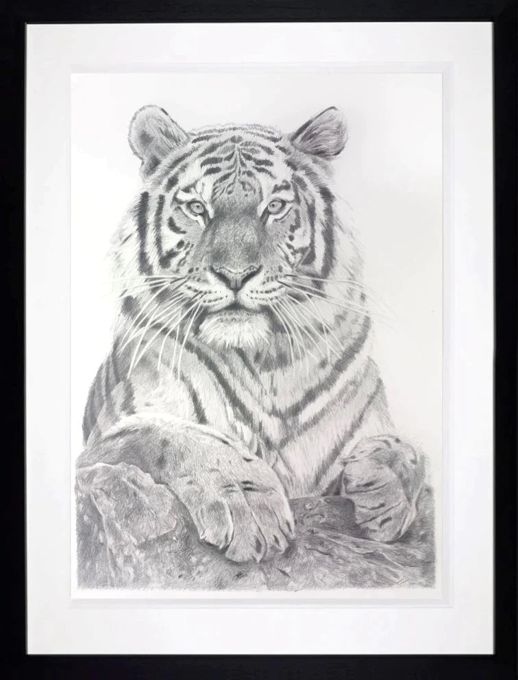 TIGER DRAWING