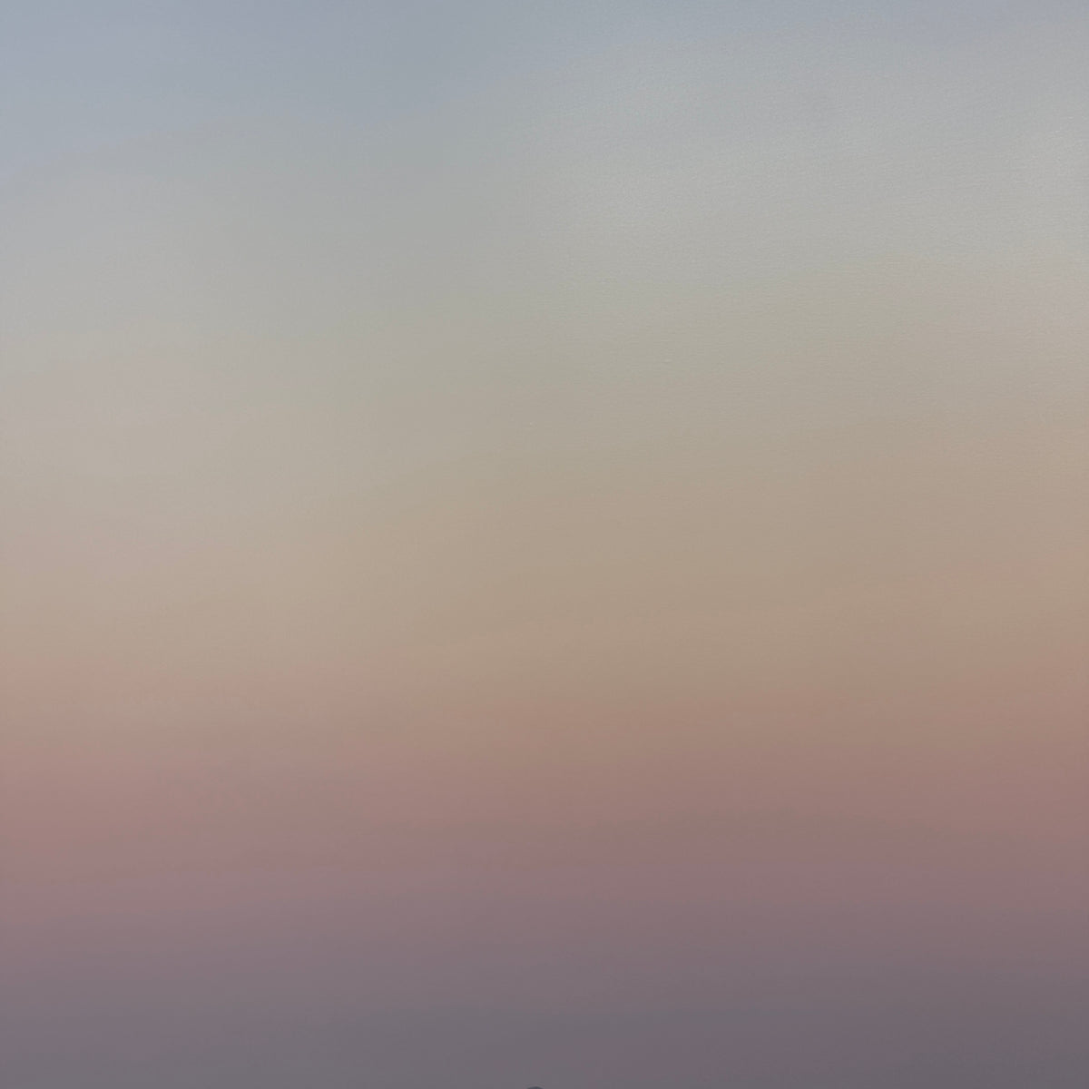 Mull Horizon