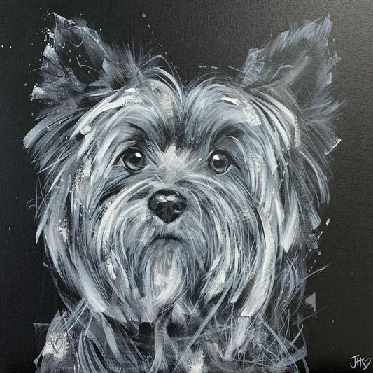 Yorkshire Terrier